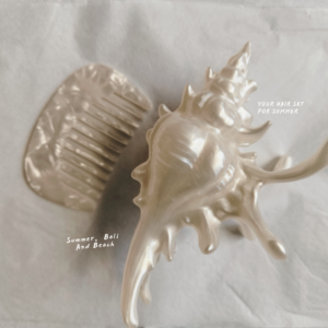 SET Fairy Shell Clips