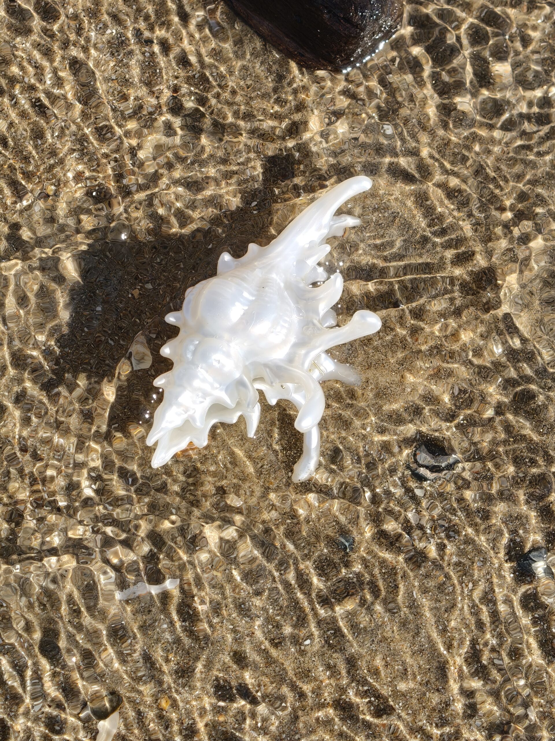 The Ocean Shell (hair clip + comb) - Image 8